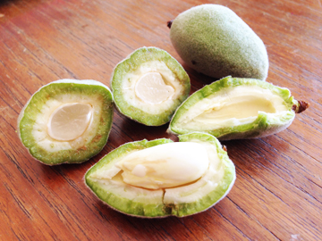 greenalmonds